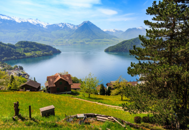 Mount Rigi chauffeur