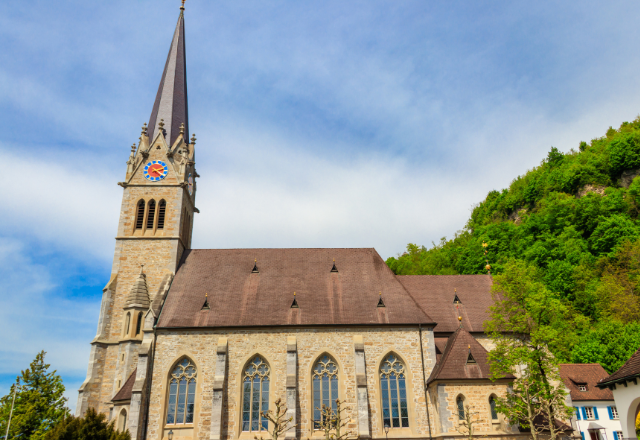Vaduz chauffeur